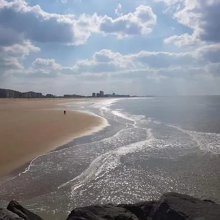 Studio Stad Aan Zee